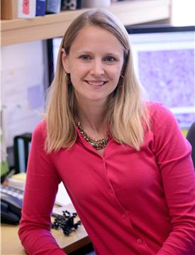 Angelique Whitehurst, Ph.D. Angelique Whitehurst, Ph.D.
